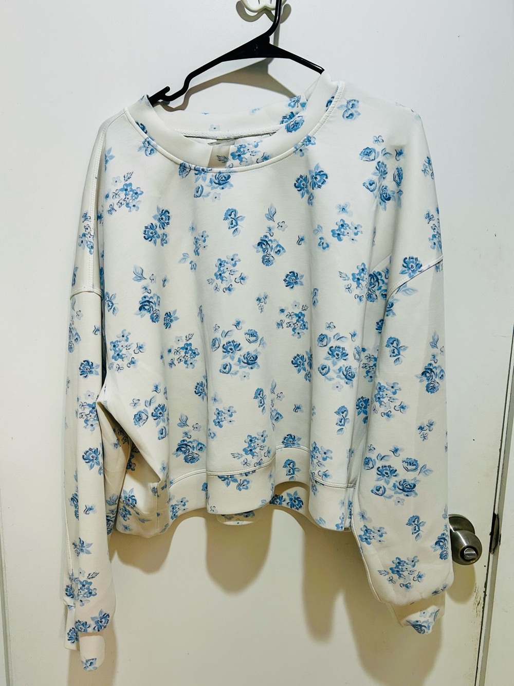 Altar'd State Cream Crewneck Sweatshirt with Blue Floral Print